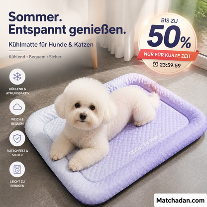 🐶🐱 Kühlende Haustiermatte für Hunde und Katzen – Sommerliche Kühldecke aus Eisseide in Farbverläufen, atmungsaktives, weiches Schlafkissen für drinnen, Sofa und Auto, waschbar, verschiedene Größen erhältlich