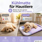 🐶🐱 Kühlende Haustiermatte für Hunde und Katzen – Sommerliche Kühldecke aus Eisseide in Farbverläufen, atmungsaktives, weiches Schlafkissen für drinnen, Sofa und Auto, waschbar, verschiedene Größen erhältlich