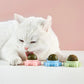 (🌷Vatertagsaktion - 40% Rabatt) Katzenminzebälle (2 kaufen, 1 gratis)