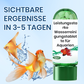 🖤Black Friday 50 % Rabatt 💥🚀Kaufen 3 und erhalten 5 gratis♻️💧Leistungsstarke Wasserreinigungstablette für Aquarien