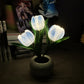 LED-Tulpen-Nachtlicht-Blumen-Tischlampe🌷✨2 kaufen, versandkostenfrei