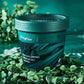Centella Asiatica Meersalz Scrub Shampoo für die Kopfhaut