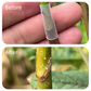 🌳 50% RABATT JETZT! ✨ Silikon-Veredelungshülsen (50/150/250 Stück) – Flexibel, Wetterbeständig & Fördert das Anwachsen von Obstbäumen 🛠️🌱