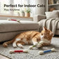 🔥 HEUTE 50 % RABATT! 🐱 Interactive Swab Cat Toy with Catnip