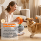 🍊 Neu & Schnüffelspaß! 🐶 Interaktives Schnüffel- & Plüsch-Hundespielzeug in Orangenform – Zwei Teile (Schale + Fruchtfleisch), versteckte Leckerli-Taschen